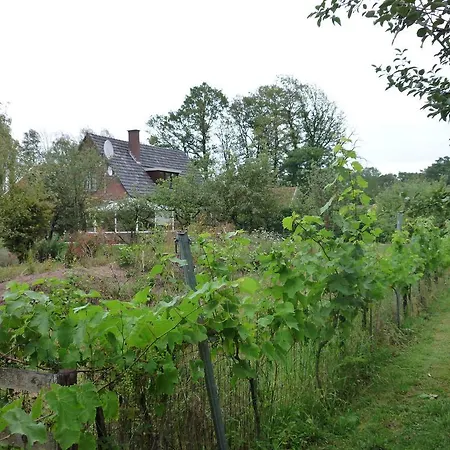 De Reeborghesch Casa de Férias Kotten